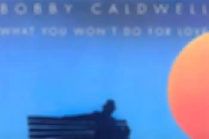 Lirik Terjemahan Lagu What You Won’t Do For Love - Bobby Caldwell