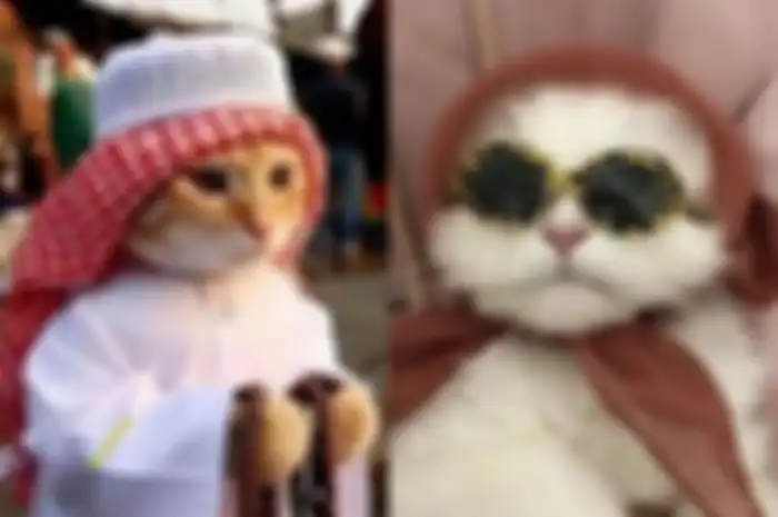 Link PP Kucing Ramadan yang viral di TikTok.