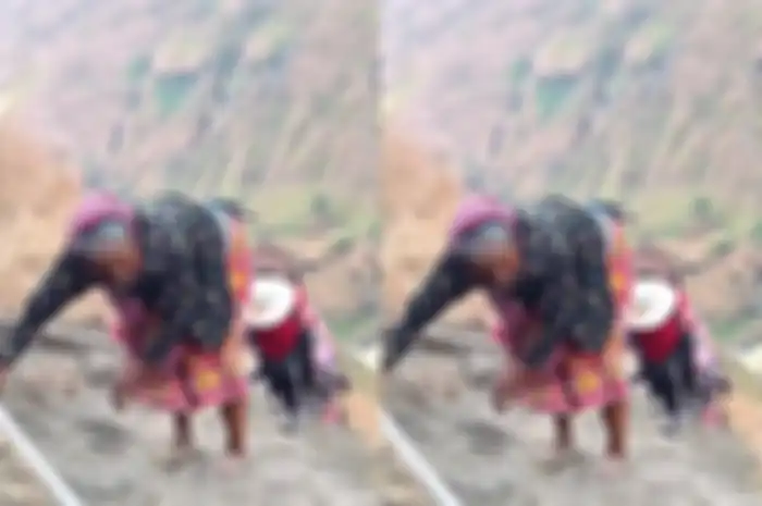 nenek mendaki Gunung Rinjani tanpa alas kaki viral