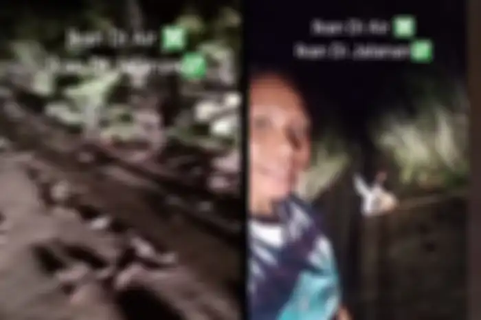 ikan betik berhamburan di jalan