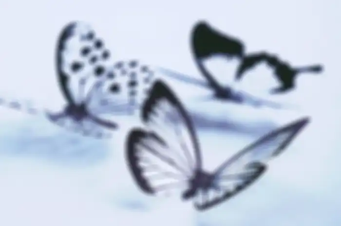 Istilah butterfly era viral di TikTok