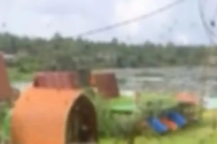 Viral di TikTok  fenomena ratusan laba-laba bergelantungan di tiang listrik di Bali