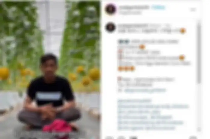 Viral Pemuda Asal Blora Pilih Mengabdi Menjadi Petani di Kampung Halamannya Usai Lulus dari Korea  