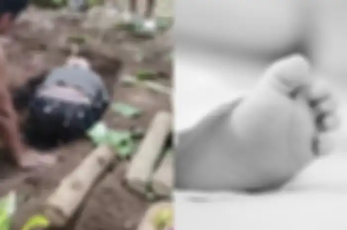 video pembongkaran kuburan bayi di Lumajang viral