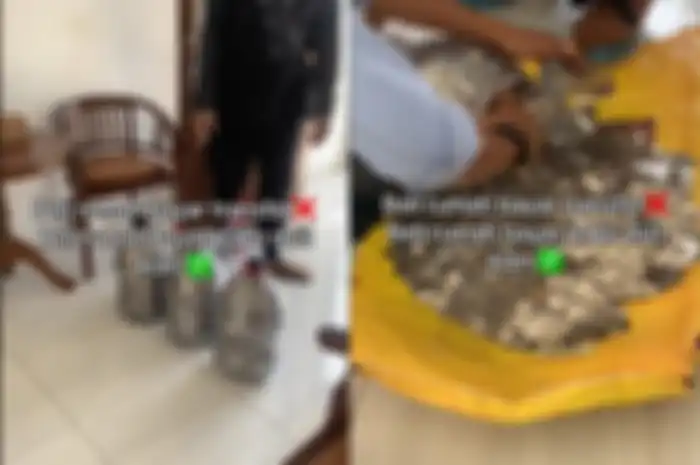 Penjual martabak beli rumah dengan uang koin sebanyak empat galon.