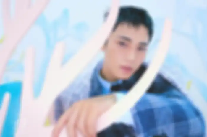Mingyu SEVENTEEN 
