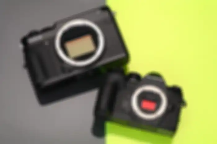 Kamera digital telah menyajikan ragam sensor yang beredar di pasaran; dari micro four third hingga medium format.