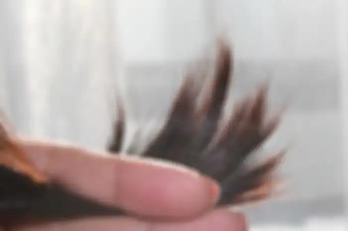 hairbuddha.net