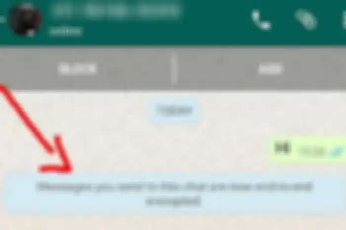 Enkripsi di WhatsApp