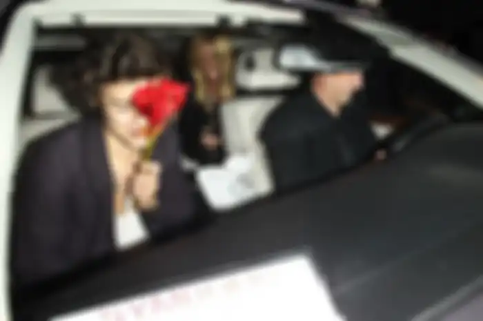 Harry Styles: Pacaran Sama Kimberly Stewart?