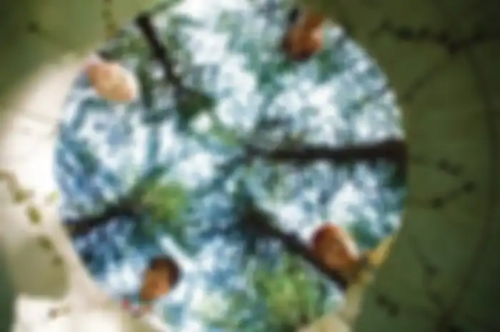 foto : pan-choa