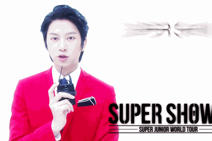 5 Inspirasi Atribut Konser Buat Nonton Super Show 6