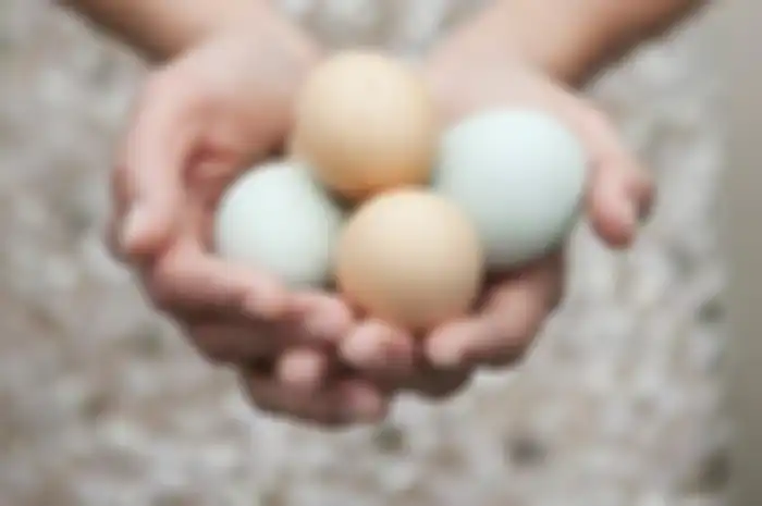 Manfaat Telur Untuk Kecantikan
