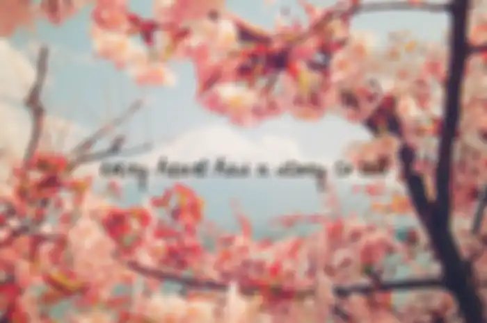 Airmata Sakura