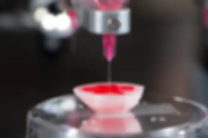 Lapisan Kulit Jantung Dari Mesin Printer 3D