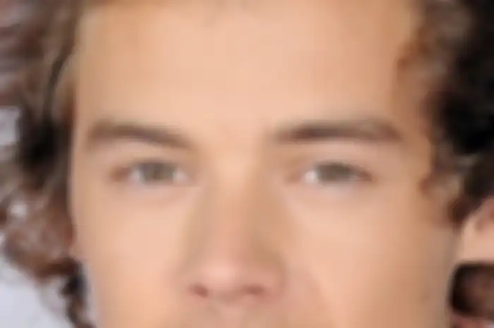 One Direction: Dua Wajah Ganteng Jadi Satu