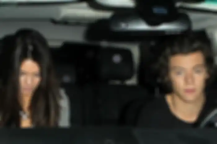 Memorable Moment From 1D Day