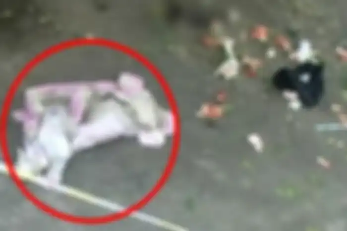 Bayi terbungkus plastik dibuang dari lantai 14 apartemen. | KAN KAN NEWS