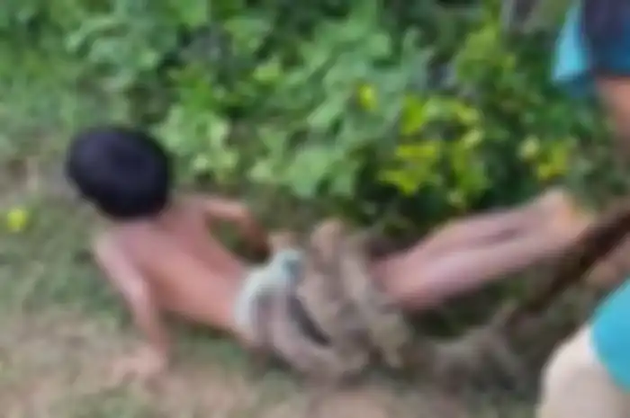 Tubuh bocah ini dililit ular phyton