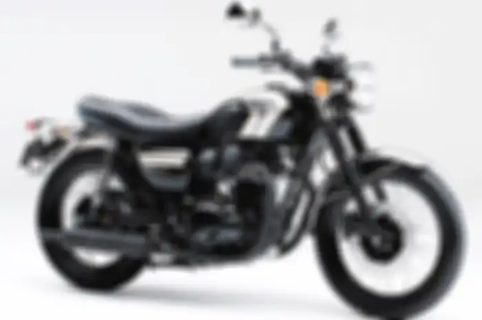 Kawasaki W800 2016