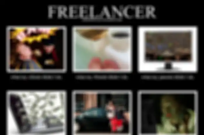 Freelancer
