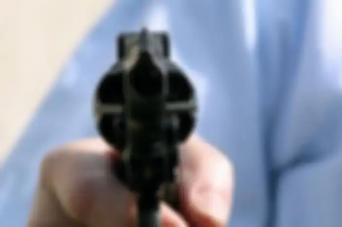 Pistol