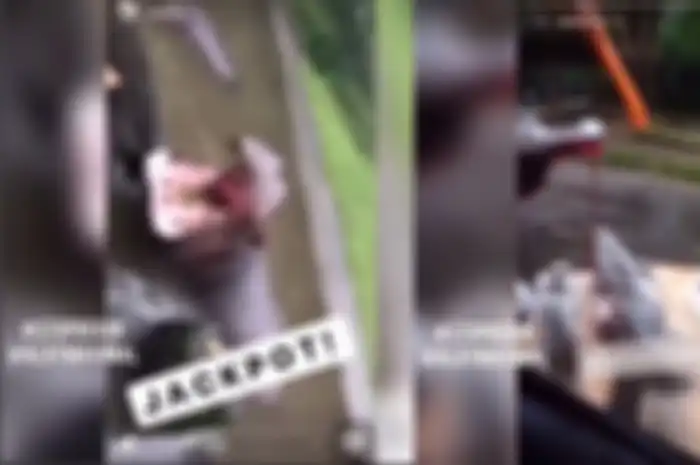 Pelecehan Hewan di Taman Safari