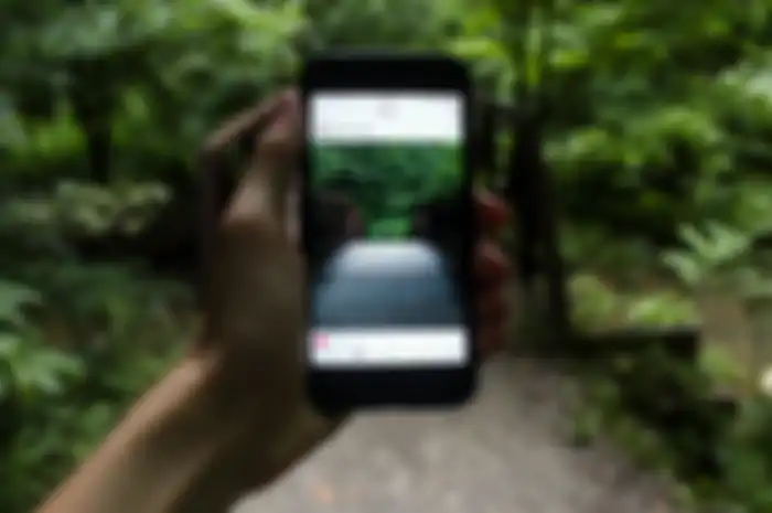 Tips Instagram