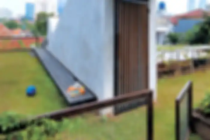 Roof Garden, Solusi Untuk Rumah Mungil yang Ingin Memiliki Taman!