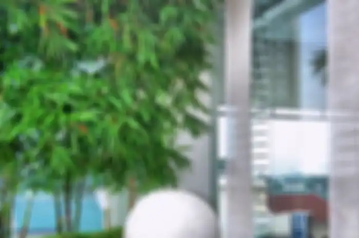 Tips praktis untuk membuat Roof Garden