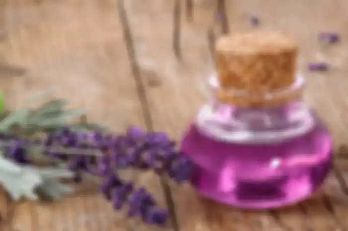 Beberapa Manfaat dari Minyak Lavender yang Wajib Kita Tahu