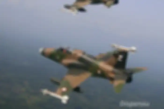 Sepasang Pesawat Hawk 