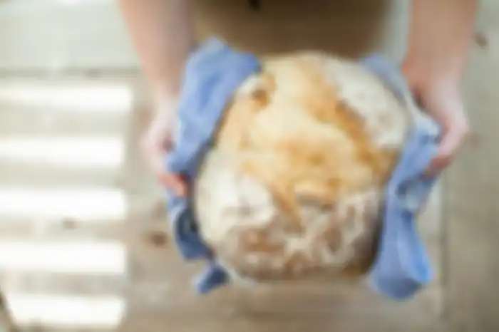 Bahaya memakan bagian bersih dari roti yang berjamur
