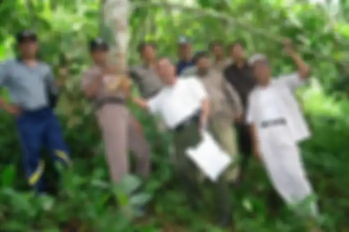 Ditemukan di Kaki Gunung Rinjani dan Sempat Dikira Beracun, Intip Durian Tanpa Duri Asli NTB yang Kini Viral