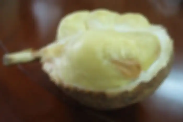 Ditemukan di Kaki Gunung Rinjani dan Sempat Dikira Beracun, Intip Lezatnya Durian Tanpa Duri Asli NTB yang Kini Viral