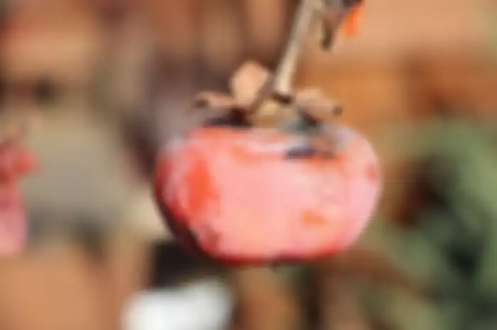Buah kesemek disebut juga buah genit