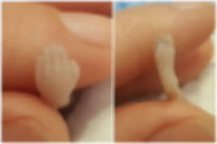 Bayi Sharran yang berusia 14 minggu