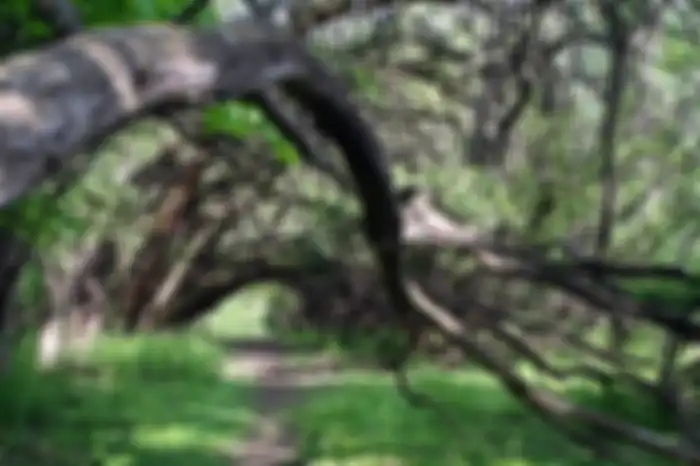 Leakin Park