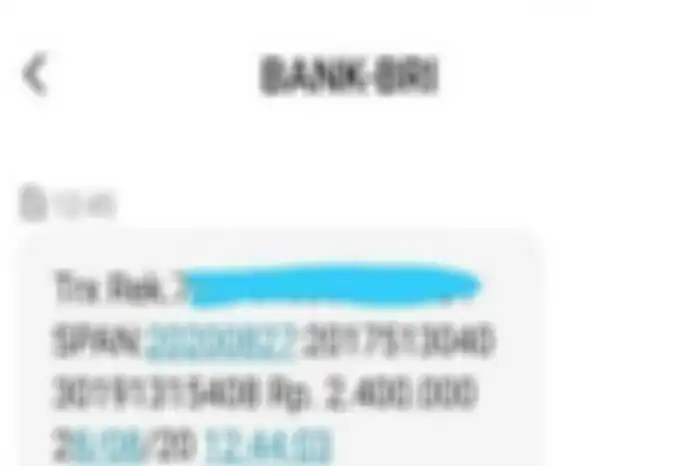 SMS penerima BLT atau bantuan pemerintah Rp 2,4 juta.