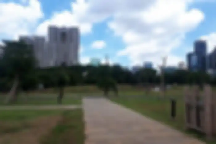 Hutan kota GBK yang berada di kawasan Gelora Bung Karno, Jakarta Pusat.