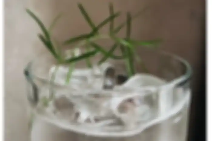 Minuman dingin bisa memicu kerusakan blender