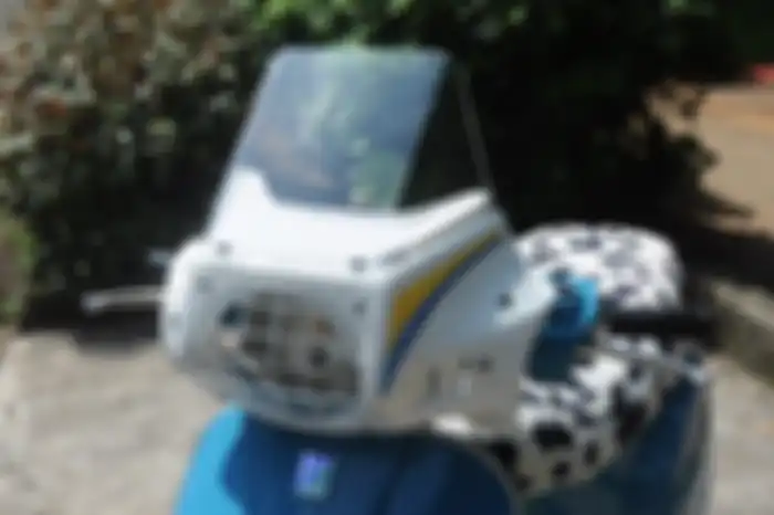 Sportscreen Gordon by Think Scooter.