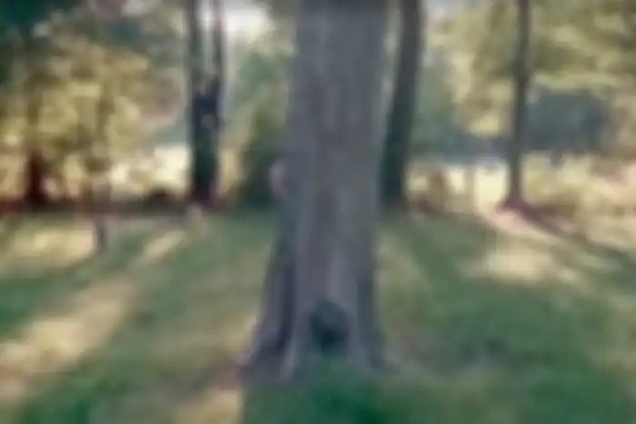 Penampakan hantu di Google Maps