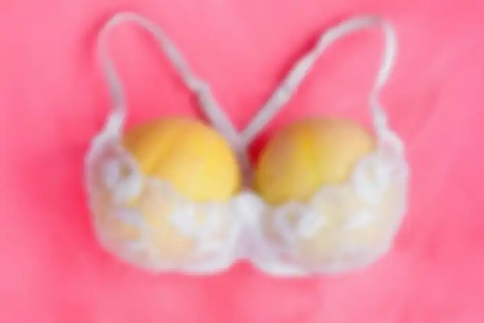 Ilustrasi bra