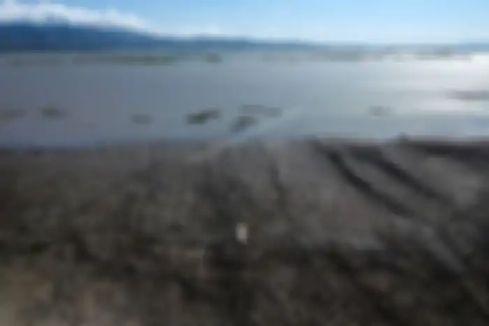 Foto udara kondisi Danau Limboto yang mengering di Kabupaten Gorontalo, Gorontalo, Senin (12/8/2019). 