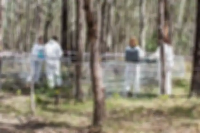 Australian Facility for Taphonomic Experimental Research