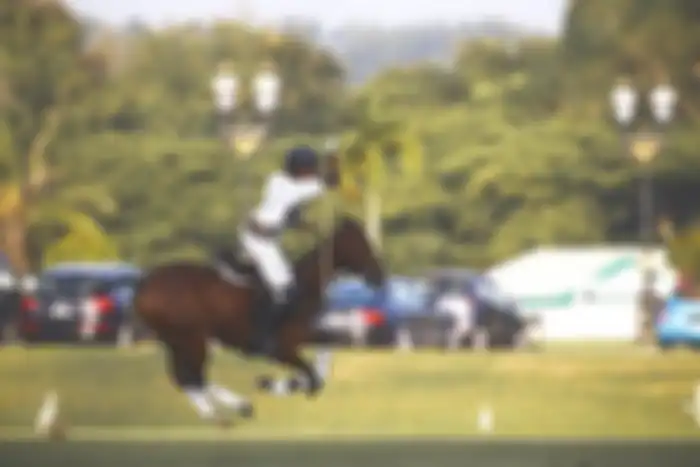 Perwakilan SEA Games di olahraga polo