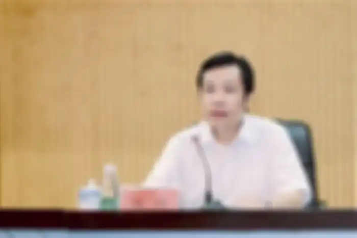 Zhang Qi mantan walikota pemilik emas batangan dan uang tunai.