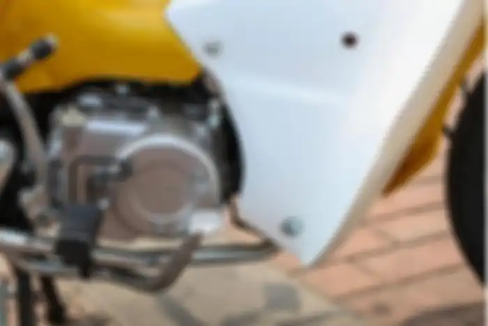 Pleasant Goat 2025 pakai mesin 110 cc single silinder berpendingin udara.