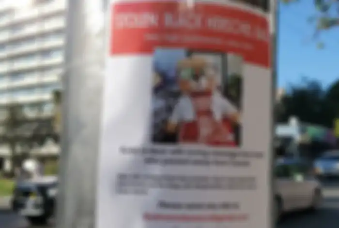 Poster pencarian boneka Teddy Bear Mara yang hilang.
